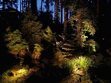 "Сказочный лес" или тестовая инсталляция светильников   - 3