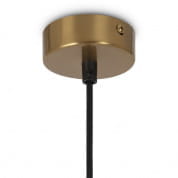Ring подвесной светильник, Maytoni MOD013PL-04BS1