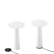 прикроватный настенный светильник с двойным плафоном