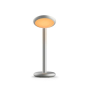 PAD1-60 Grau Parrot TABLE SILVER Настольная лампа