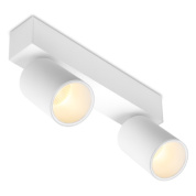 потолочный накладной светильник с двумя цилиндрическими источниками направленного света