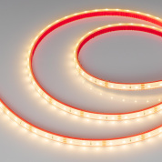033783 Arlight Лента герметичная RTW-PFS-A60-11mm 12V Warm3000 (4.8 W/m, IP68, 2835, 5m)