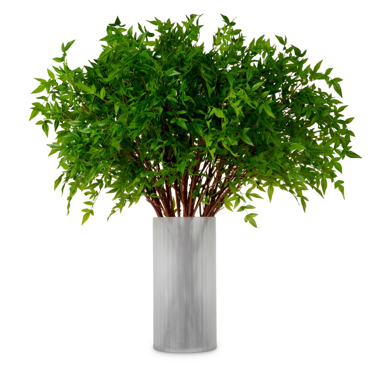 Коллекция Eichholtz Tender Leaves