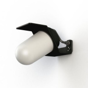 уличное настенное бра с овальным плафоном и тёмным корпусом