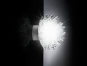 ROSTRO Настенный светильник из муранского стекла VGnewtrend