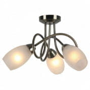 A8616PL-3AB Потолочная люстра Mutti Arte Lamp