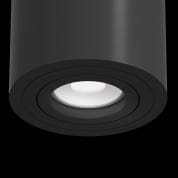 Потолочный светильник Alfa Maytoni черный C016CL-01B