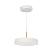 033914(1) Arlight Светильник SP-ELEGANT-R300-17W Warm3000 (WH, 120 deg, 230V)