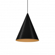 DINOR 1.0 Wever Ducre подвесной светильник черный;золото