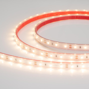 028506(2) Arlight Лента герметичная RTW-PS-A60-10mm 12V Warm2700 (4.8 W/m, IP67, 2835, 5m)