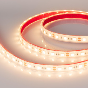 034033 Arlight Лента герметичная RTW-PFS-B60-13mm 12V Warm3000 (14.4 W/m, IP68, 5060, 5m)