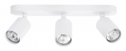 A3226PL-3WH Aquarius Arte Lamp потолочный светильник