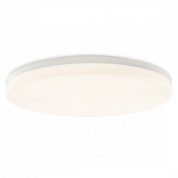 настенный или потолочный светильник белого цвета