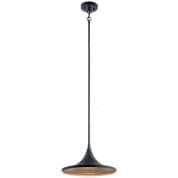 Elias LED 3000K 14" Pendant Textured Black уличный подвесной светильник 59031BKTLED Kichler