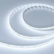 040187 Arlight Лента DOT-X192-10mm 24V White6000 (16 W/m, IP20, 5m)