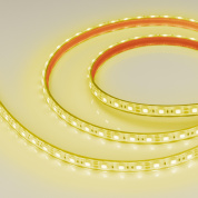 036291 Arlight Лента герметичная RTW-PFS-B60-13mm 12V Yellow (14.4 W/m, IP68, 5060, 5m)