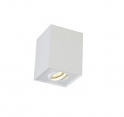 1400/111 CLT 420 Crystal lux Светильник потолочный 1х50W GU10 Белый