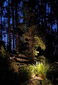"Сказочный лес" или тестовая инсталляция светильников   - 4