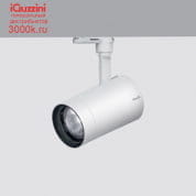 P206 Palco iGuzzini small body - Neutral White - dimmable electronics - wide flood optic