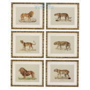 111745 Prints EC262 Lion, Tigre, Jaguar set of 6  Eichholtz