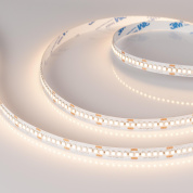 028621(2) Arlight Лента RT-A240-10mm 24V Warm3000 (19.2 W/m, IP20, 3528, 5m)