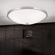 накладной потолочный светильник с гладким овальным матовым плафоном