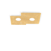 потолочный светильник прямоугольной формы с двумя плафонами