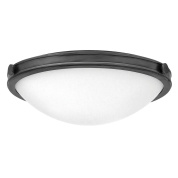 Потолочный светильник Collier Hinkely HK-COLLIER-F-M-BX черный оксид