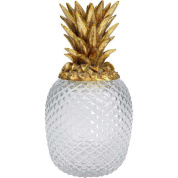 51969 Jar Pineapple Visible Kare design декор