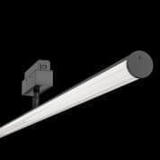 Трековый светильник Track lamps Maytoni черный TR026-2-14B4K