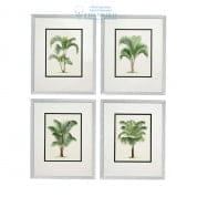 108852 Print Palms S/4 Eichholtz