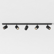 спот на пятирожковой штанге матовый чёрный