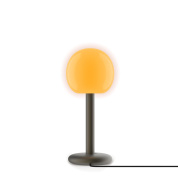 FID1-50 Fire GRAU прикроватный светильник