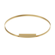 потолочный кольцевой светильник латунного оттенка с равномерным контуром света