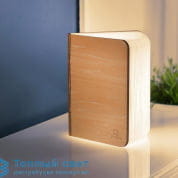 SMART BOOKLIGHT LARGE настольная лампа GINGKO GK12W2