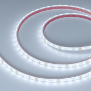 034006 Arlight Лента герметичная RTW-PFS-A60-11mm 12V White6000 (4.8 W/m, IP68, 2835, 5m)