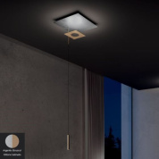 Petra Icone Одинарный подвес Round, Square Brass, Silver i-c-0459