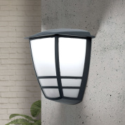 уличный настенный светильник с матовым рассеивателем и антрацитовым корпусом
