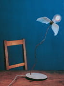 Lucellino Table настольная лампа Ingo Maurer 4812000