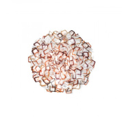 настенный светильник с лепестковым плафоном перламутровый