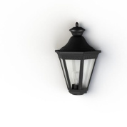 настенное бра с прозрачным плафоном и чёрным корпусом