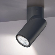 потолочный светильник с поворотным цилиндрическим спотом