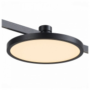 потолочный накладной светильник с круглым рассеивателем и чёрным профилем