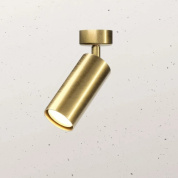 регулируемый потолочный спот из полированной латуни цилиндрической формы