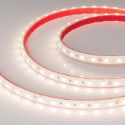 021398(2) Arlight Лента герметичная RTW-PS-B60-12mm 24V Day4000 (14.4 W/m, IP67, 5060, 5m)