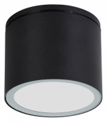 накладной потолочный светильник цилиндрический черный IP54