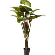 60720 Декоративное растение Rainforest Green 160см Kare Design