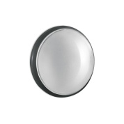 уличный настенный светильник увеличенного диаметра с матовым круглым рассеивателем