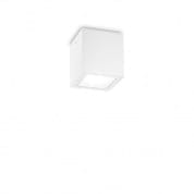 251561 TECHO PL1 SMALL Ideal Lux потолочный светильник БЕЛЫЙ