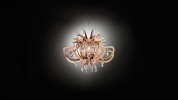 Lillibet Gold, Silver, Copper suspension подвесной светильник SLAMP